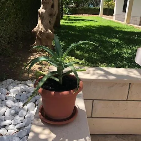 Aspalathos Appartement Split